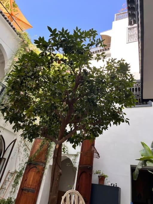Riad Dar Fannan En Exclusivite Marrakesh Esterno foto