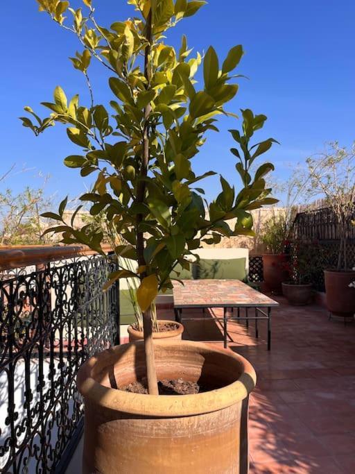 Riad Dar Fannan En Exclusivite Marrakesh Esterno foto